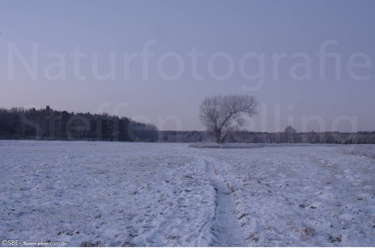 IMGP8476